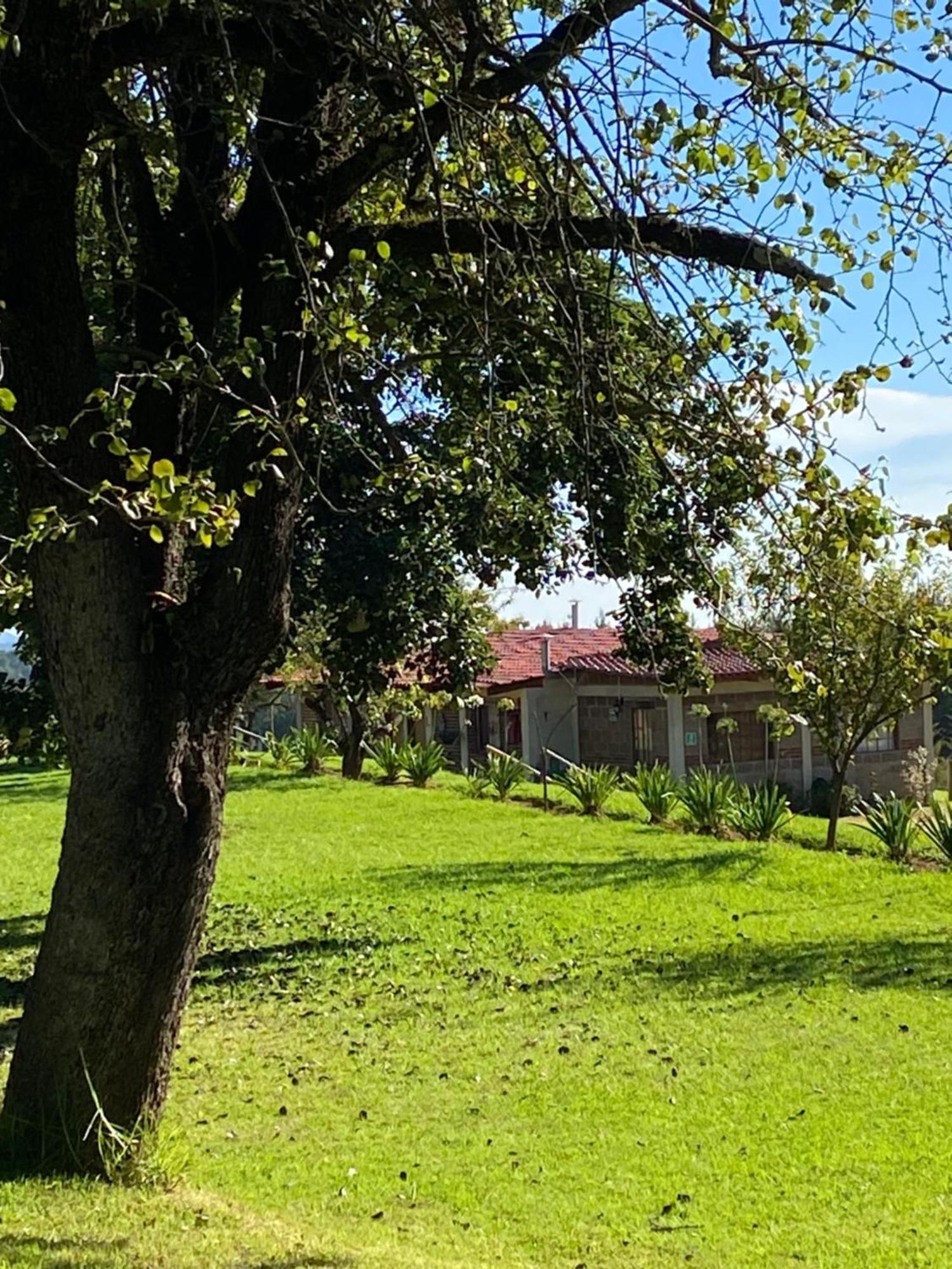 Cabanas Huerta La Mision, Zacatlan Zacatlán Exterior foto
